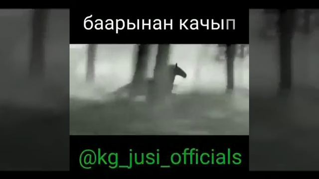 Самая лучшая лошадь смотреть онлайн