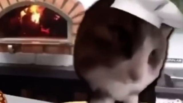 кот готовит пиццу марио смотреть онлайн
