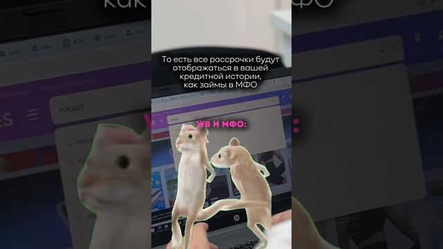 А вы пользуетесь рассрочкой на маркетплейсах?