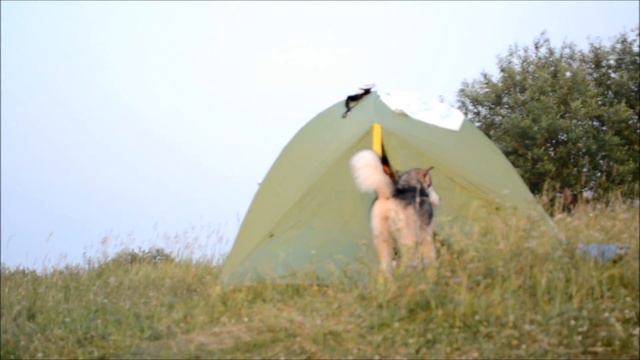 WEEEKend смотреть онлайн