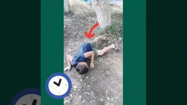 Мы боимся мух смотреть онлайн