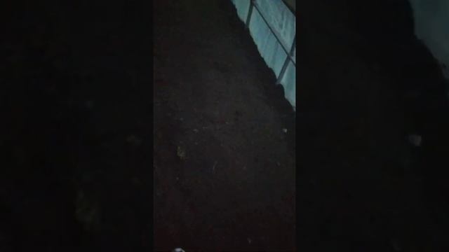 КАПЕЛЬНЫЙ ПОЛИВ КЛУБНИКА НАЧАЛО!!! смотреть онлайн