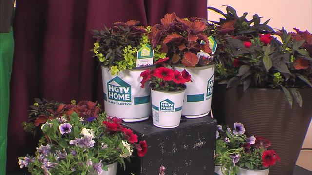Successful Planting For This Spring And Summer