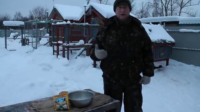 СЕРА КОРМОВАЯ ! КАК ПОВЫСИТЬ ЯЙЦЕНОСКОСТЬ КУР. смотреть онлайн