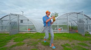 Блиппи на Ферме! - Блиппи на Русском - Изучай этот Мир вместе с Блиппи - Blippi