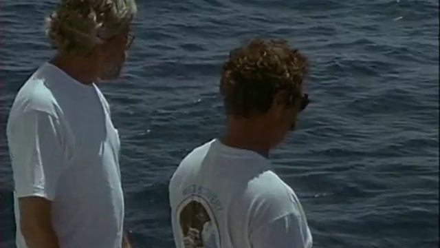 32 1991 Белая акула одинокий властелин моря смотреть онлайн