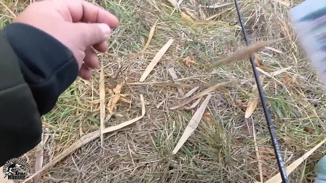 Береговая ловля на щуку в октябре. смотреть онлайн