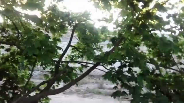 Первое видео. Заброшенный консервный завод смотреть онлайн