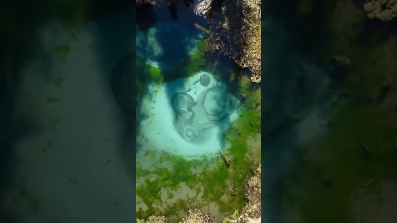 Гейзеровое озеро / Алтай / Altai / Май 2023 смотреть онлайн