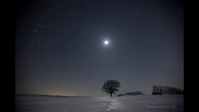 風に舞う　Piano Virsion2 смотреть онлайн