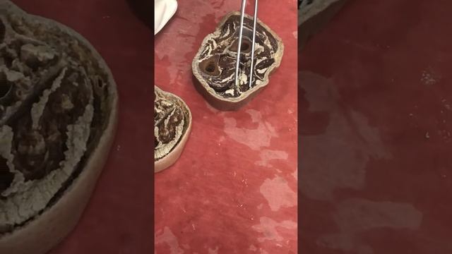 Срез средней трети предплечья