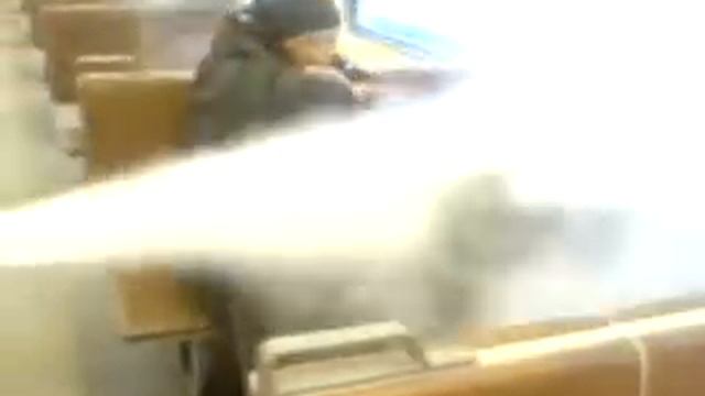 Образовательные ролики о животных