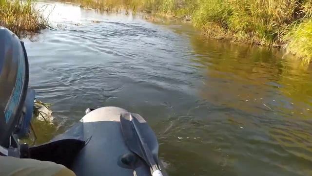 КАКУЮ ЛОДКУ КУПИТЬ?КАКОЙ МОТОР ПОСТАВИТЬ? Обзор Лодки РИВЬЕРА(ПВХ) На СКОРОСТИ С МОТОРОМ 9.9 смотреть онлайн