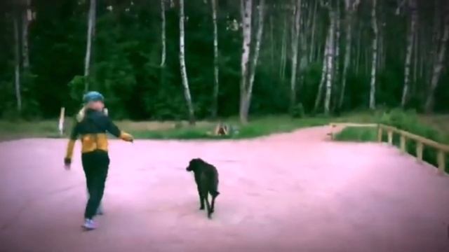 НОВЫЕ ПОСЛАНИЯ ОТ КЛОУНОВ?! смотреть онлайн