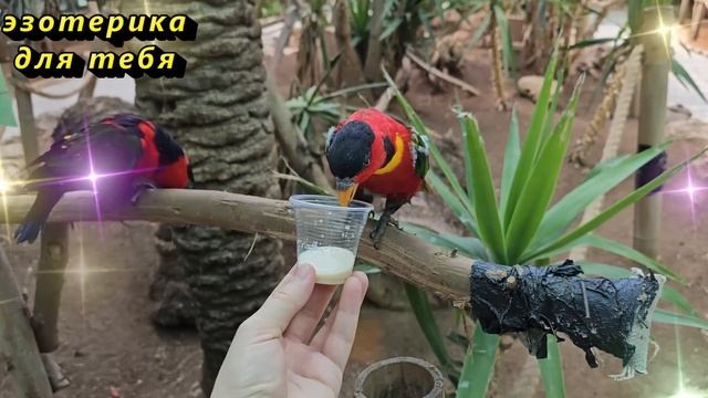 19 июля народный праздник Сысоев день, Сисой Великий. Что нельзя делать. Народные приметы и традици смотреть онлайн