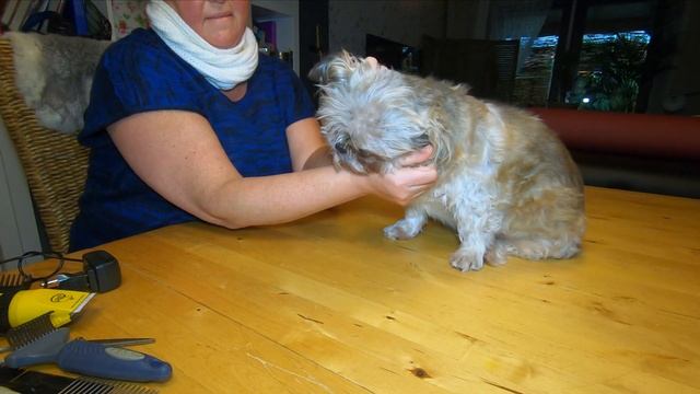 Марафон похудения ? Меню на день ? Дела на день смотреть онлайн