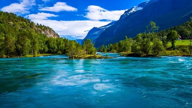 Расслабляющие звуки леса - Мирные звуки реки - Пение птиц в лесной чаще - Шум ве смотреть онлайн