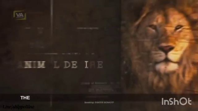 Секрет долгой жизни. Мгновенная активация третьего глаза. шишковидная железа. Таламус. Гиппокамп смотреть онлайн