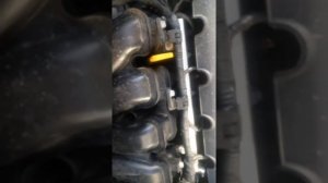 Киа Соренто 2.4 на холодную