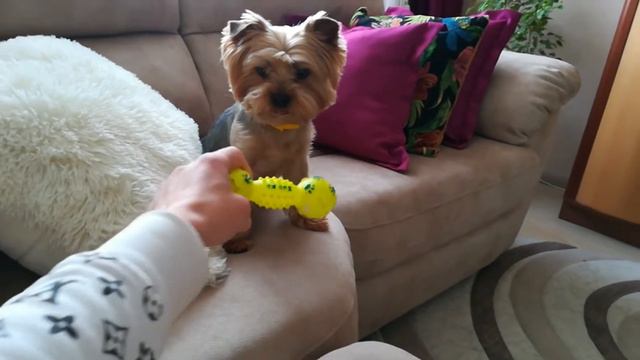 Друг Кузя у меня дома 2022 смотреть онлайн