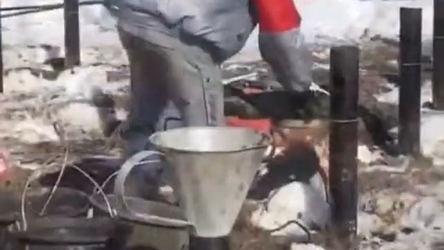 Зимний монтаж СВАИГОСТ смотреть онлайн