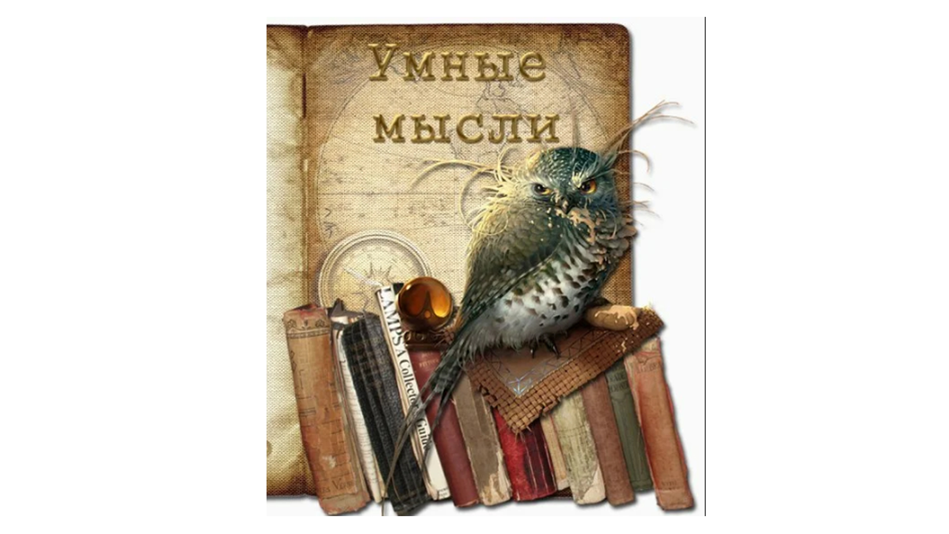 Мудрые мысли смотреть онлайн