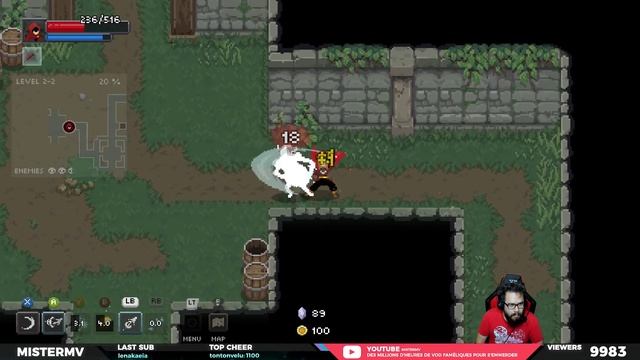 WIZARD OF LEGEND (Indéfinitivement) смотреть онлайн