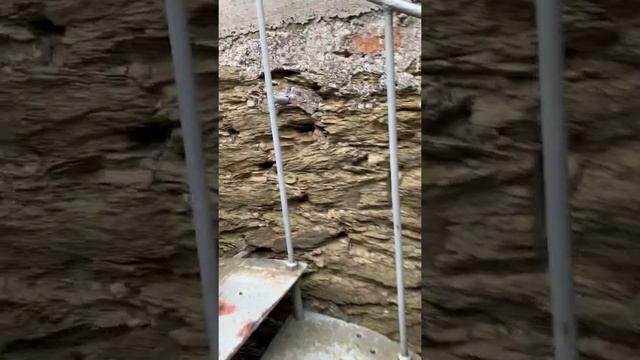 Bad Ems(Germany).Бад Эмс(Германия) смотреть онлайн