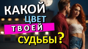Цвет удачи для каждого знака зодиака. Нумерология цвет судьбы