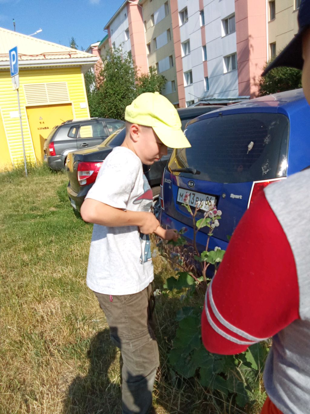 колючки собираем 1 час