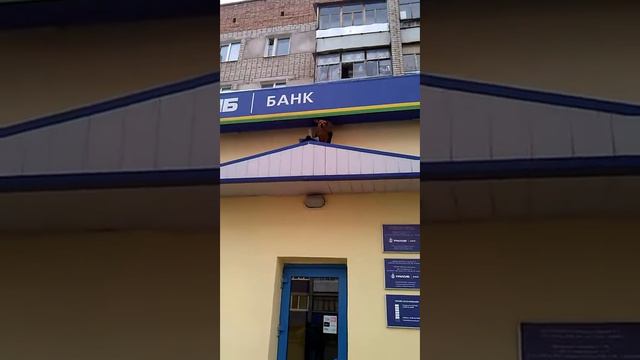 сторож банка уралсиб смотреть онлайн