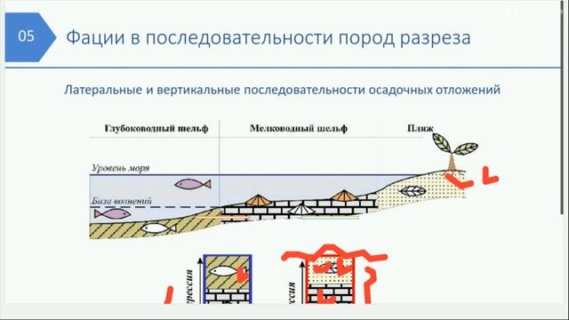 Ключи к фациальному анализу