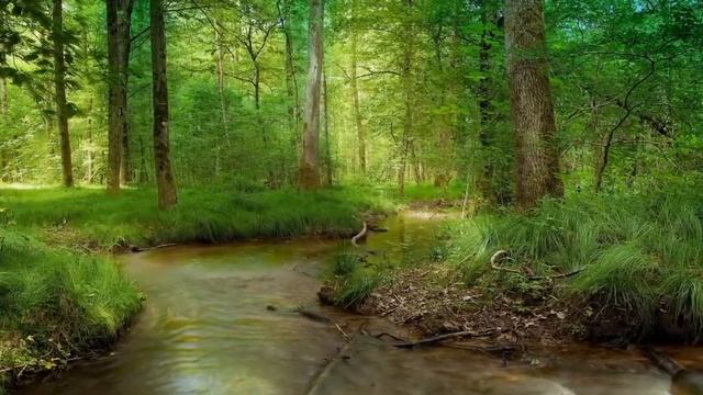 Родительские предписания. Как распознать свой жизненный сценарий? смотреть онлайн