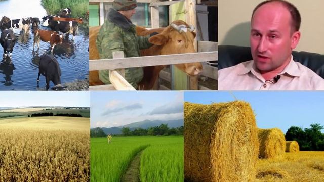Николай Стариков Как нужно развивать село смотреть онлайн