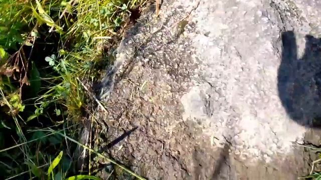 Серые Камни. Первый репортаж. смотреть онлайн