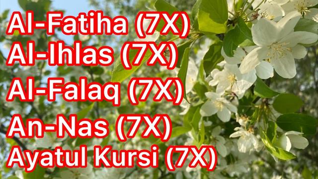 Аль-Фатиха, Аль-Ихлас, Аль-Фалак, Ан-Нас, Аяталь Курси (7Х)