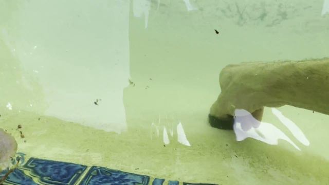 How To Open Pool to Save Money | Dirty to Clear in a Few Days Pentair Filter Looplock Cover смотреть онлайн