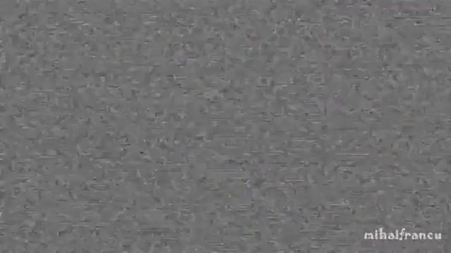 Когда вместо щенка подарили утенка смотреть онлайн