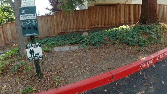 Плохо моет посудомоечная машина. Серьезная проблема или паника клиента? Как найти дом клиента смотреть онлайн