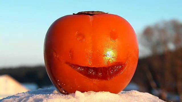 ПРИВЕТ ОТ ХУРМЫ