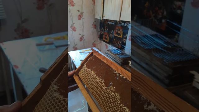 это стоит попробовать!!!майский мёд в Сибири. смотреть онлайн