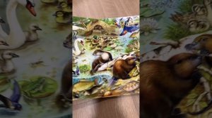 Найди и покажи. Животные