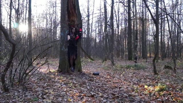 Spider Woman 2 смотреть онлайн