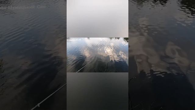 На рыбалку, на рыбалку. Вместе с папой, мы пойдём 🌺🌺🌺🌺🌺🦟🦟🦟🦟🐞🐞🐞🐞🐠🐠🐠🐠🐟🐟🐟🐟🦋🦋🦋🦋 смотреть онлайн