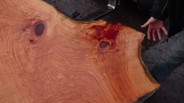 Another Amazing Chunk of the Giant Cherry Tree смотреть онлайн