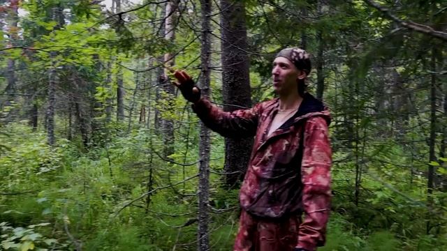 Строим избу. С чего начиналось. Взялись за крышу. смотреть онлайн