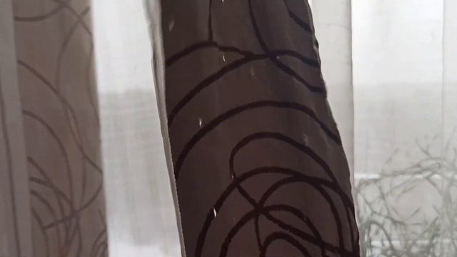 Рвет занавески/Вышел из квартиры/Ворует булочки смотреть онлайн