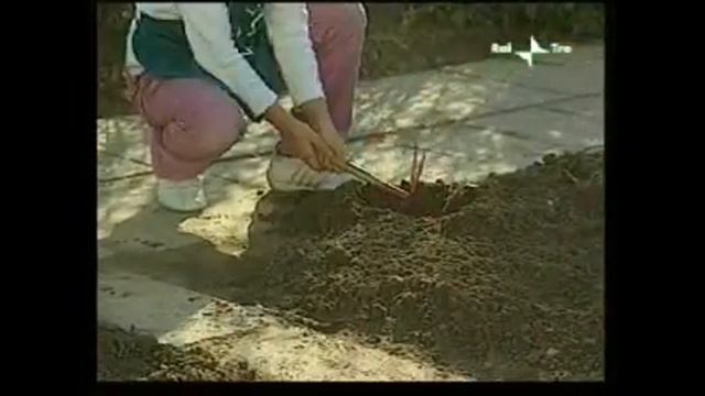Quando l'orto va a scuola 2 смотреть онлайн
