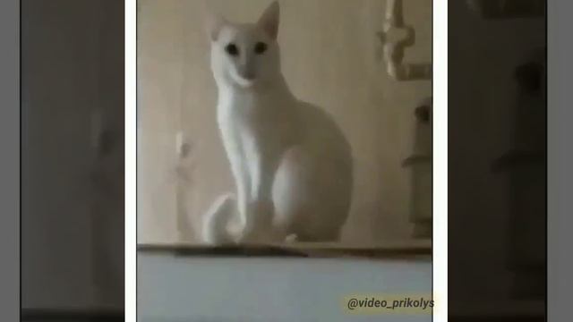 когда ты свой смотреть онлайн