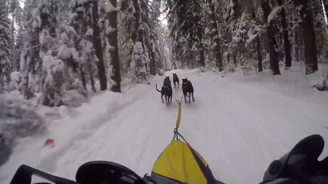 Зов Предков. Егорьевск, БО Любляна. 2018. 2 место. смотреть онлайн